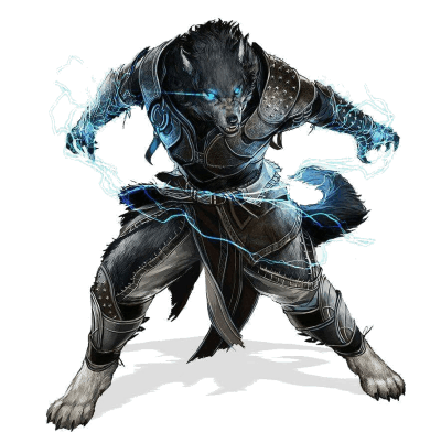 Elemental Fist Disciple