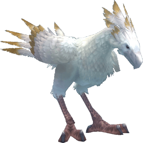 White Chocobo